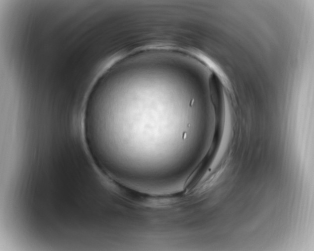 X0000099981237200805231418