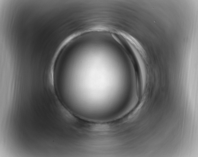 X0000099981238200805231418