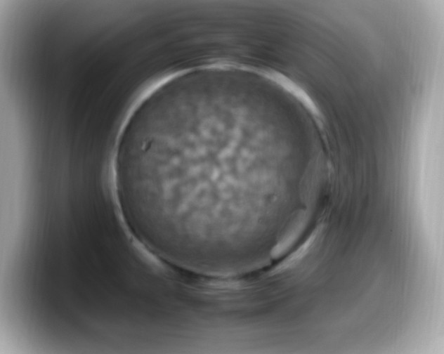 X0000099981239200805231418