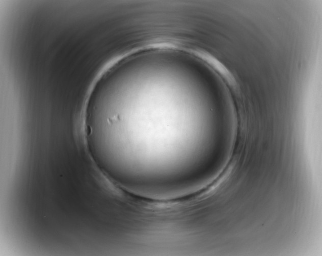 X0000099981240200805231418