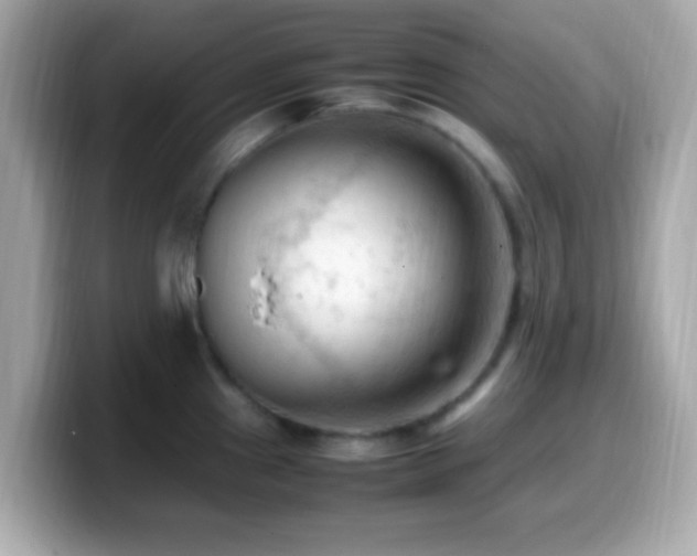 X0000099981241200805231418