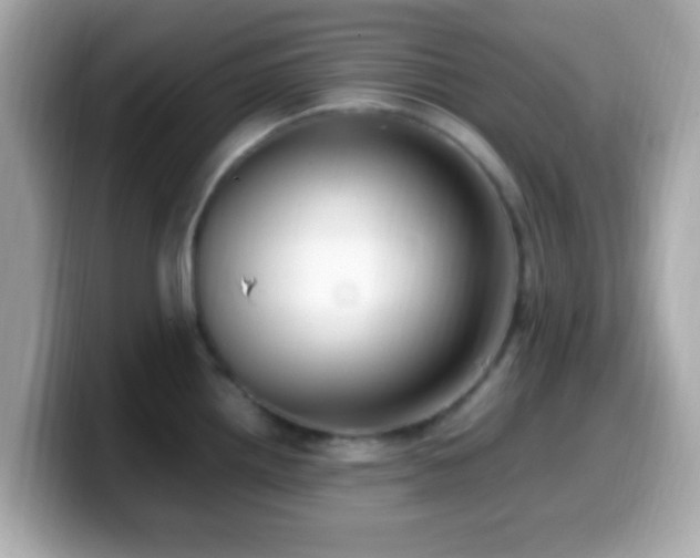 X0000099981242200805231418