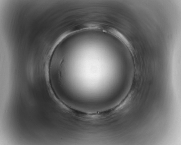 X0000099981243200805231418