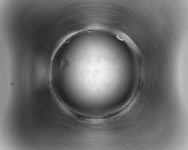 X0000099981244200805231418
