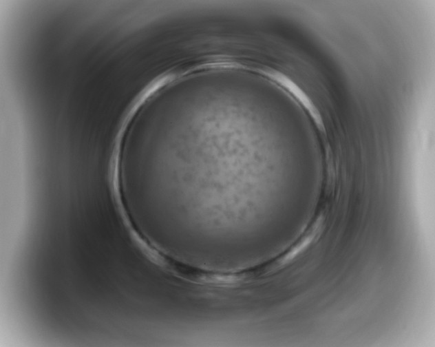 X0000099981245200805231418