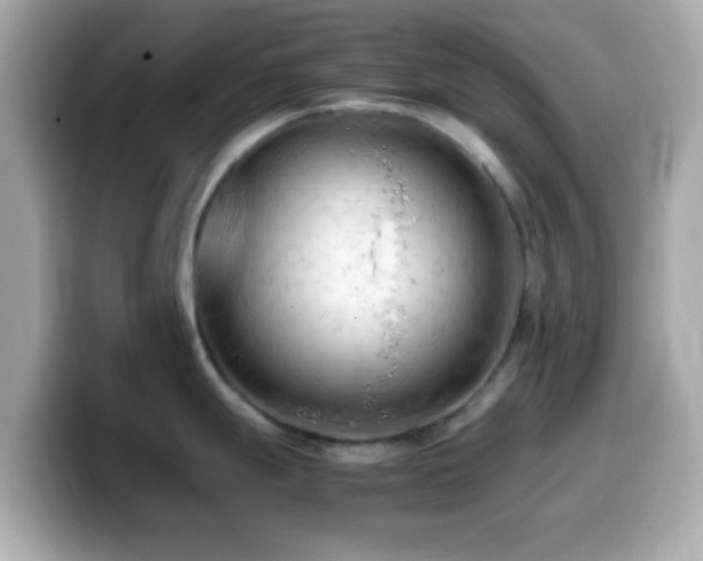 X0000099981247200805231418