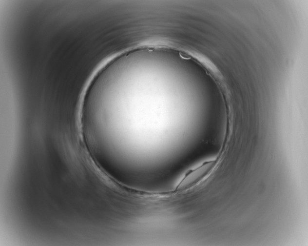 X0000099981248200805231418