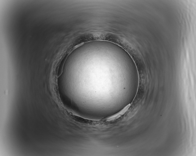 X0000099981249200805231418