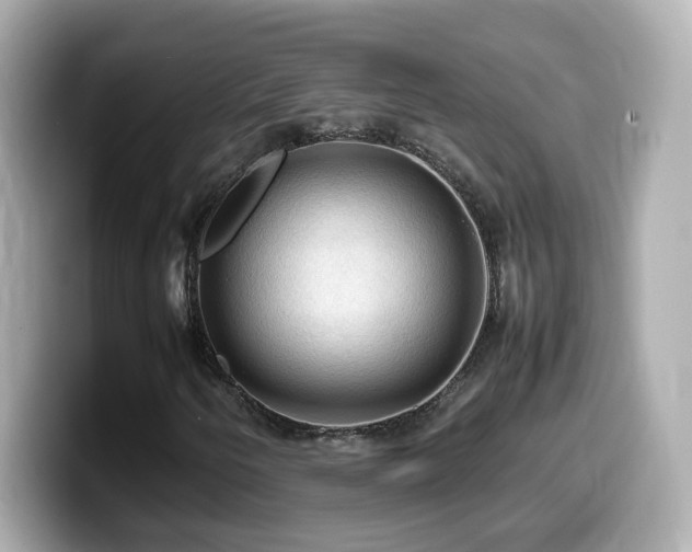 X0000099981250200805231418