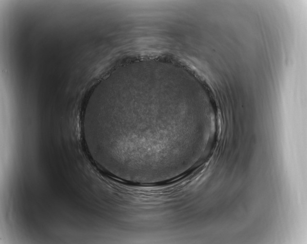 X0000099981252200805231418