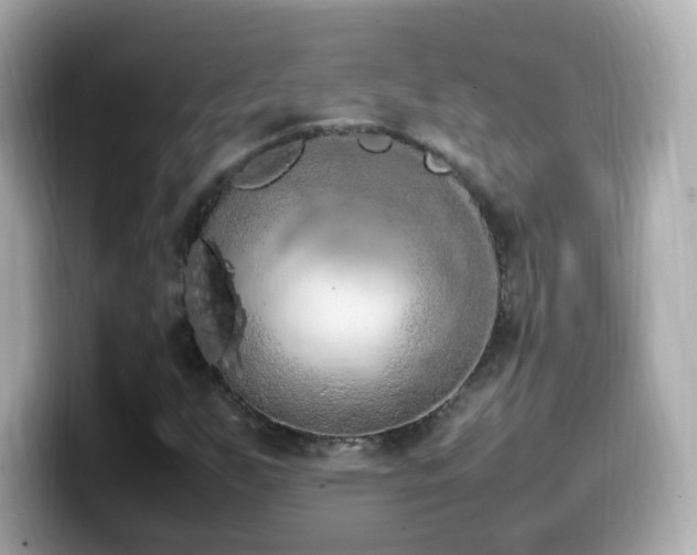 X0000099981255200805231418