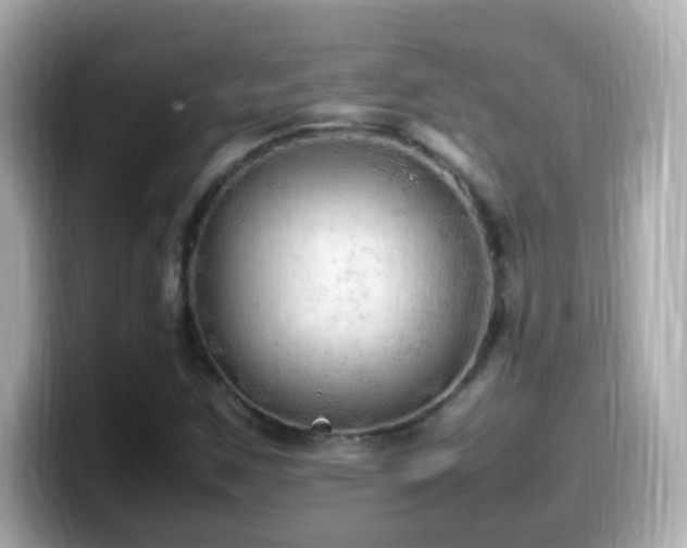 X0000099981259200805231418