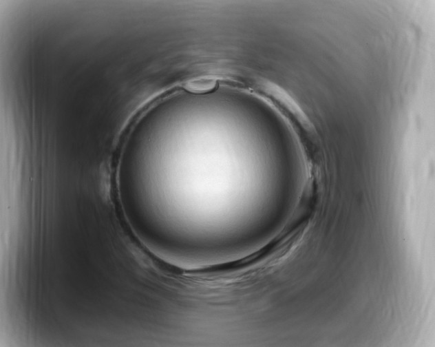 X0000099981260200805231418