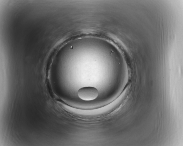 X0000099981261200805231418
