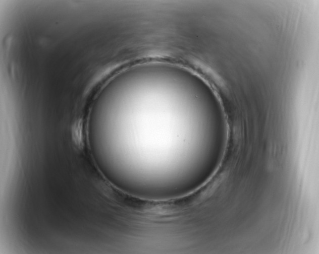 X0000099981262200805231418