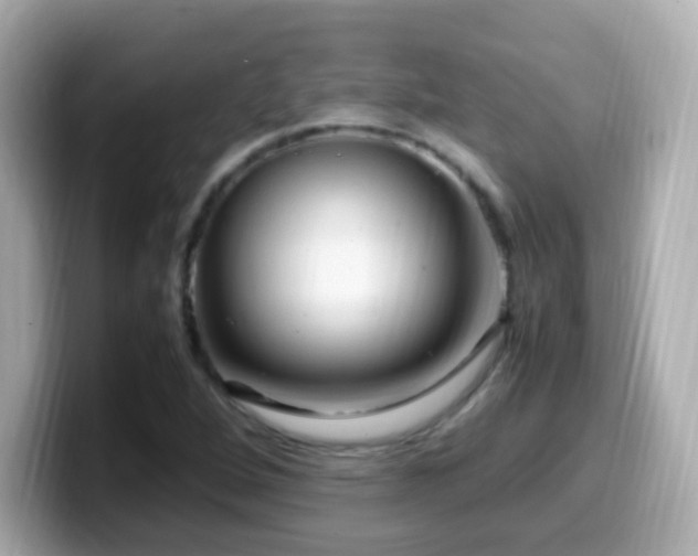 X0000099981264200805231418