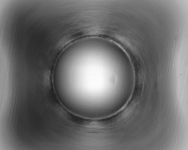 X0000099981265200805231418