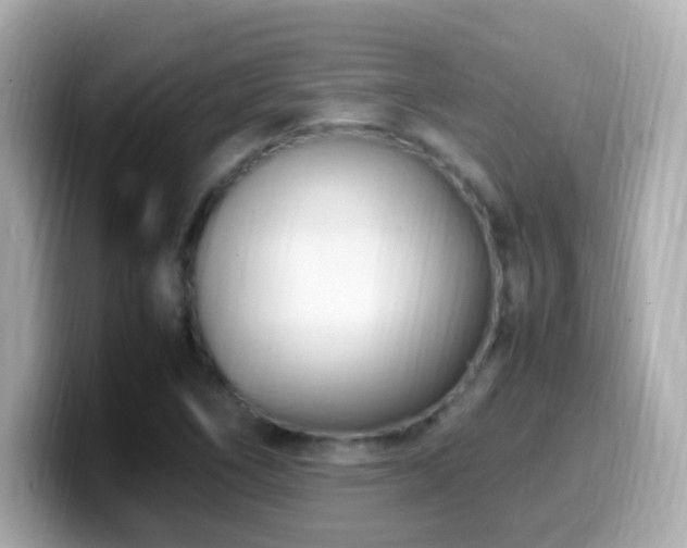 X0000099981266200805231418