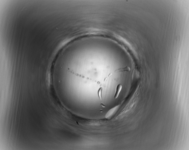 X0000099981267200805231418