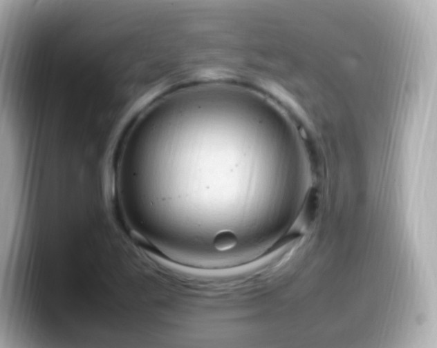 X0000099981269200805231418