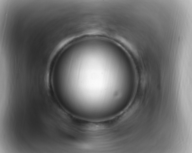 X0000099981270200805231418