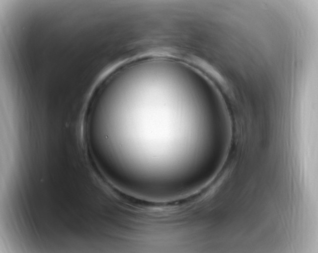 X0000099981272200805231417