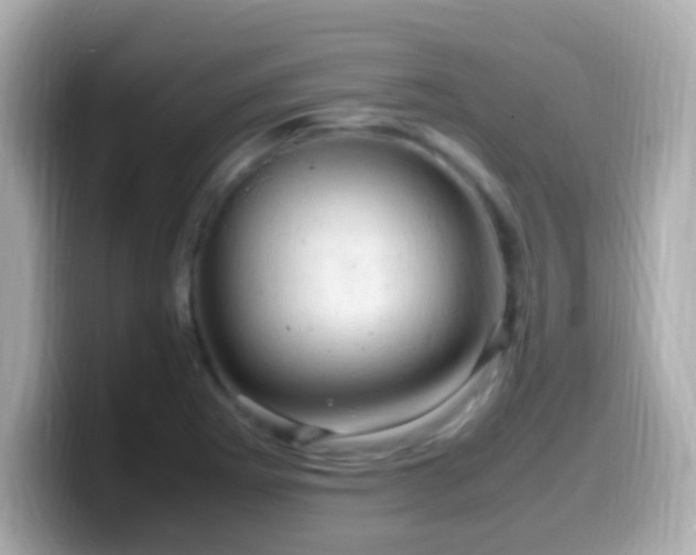 X0000099981273200805231417