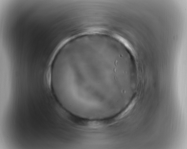 X0000099981275200805231417