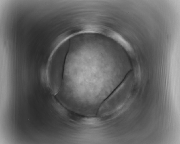 X0000099981276200805231417