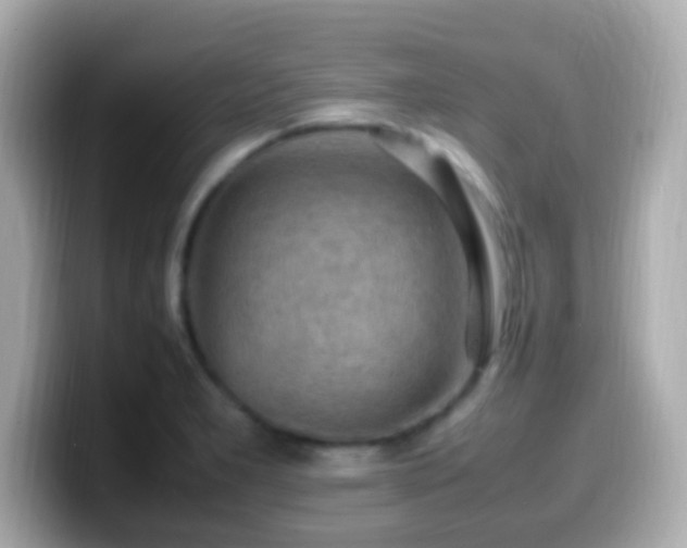 X0000099981277200805231417