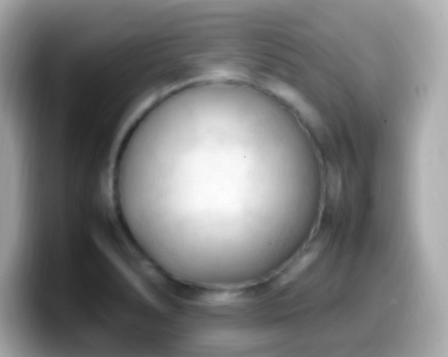 X0000099981278200805231417