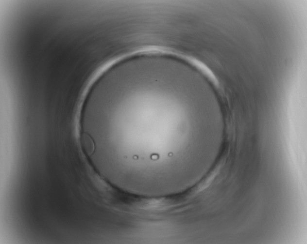 X0000099981279200805231417