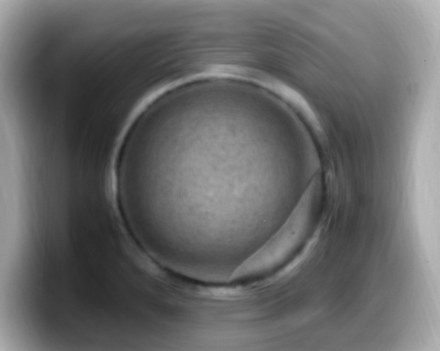 X0000099981280200805231417