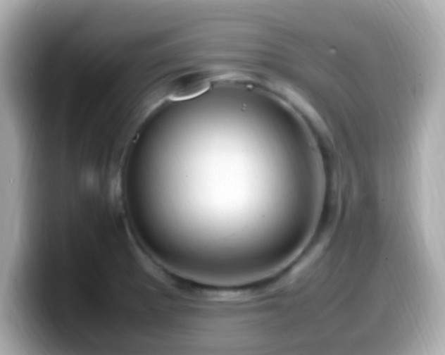 X0000099981281200805231417