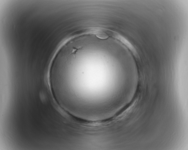X0000099981283200805231417