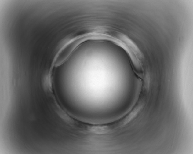 X0000099981284200805231417