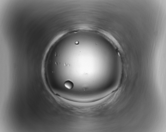 X0000099981285200805231417