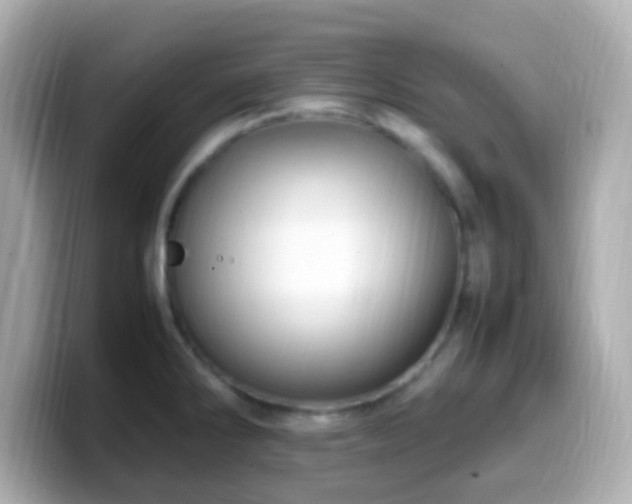 X0000099981286200805231417