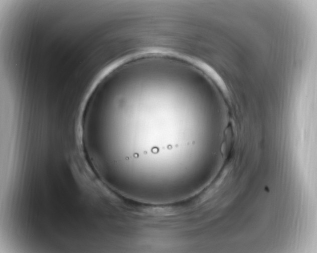 X0000099981287200805231417