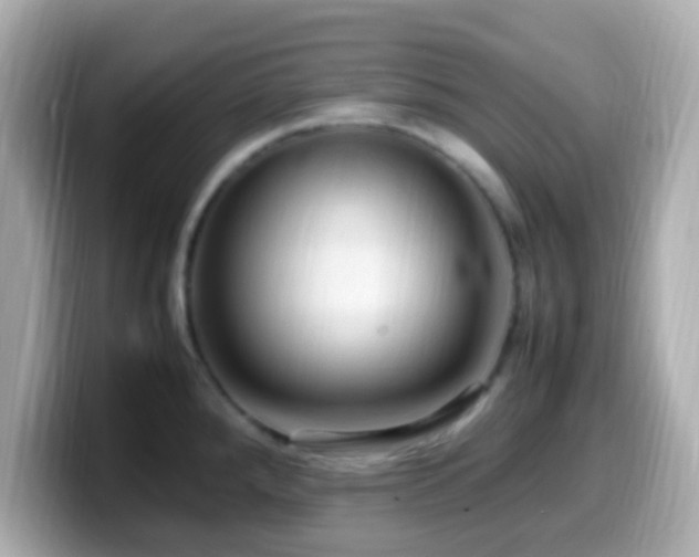 X0000099981288200805231417