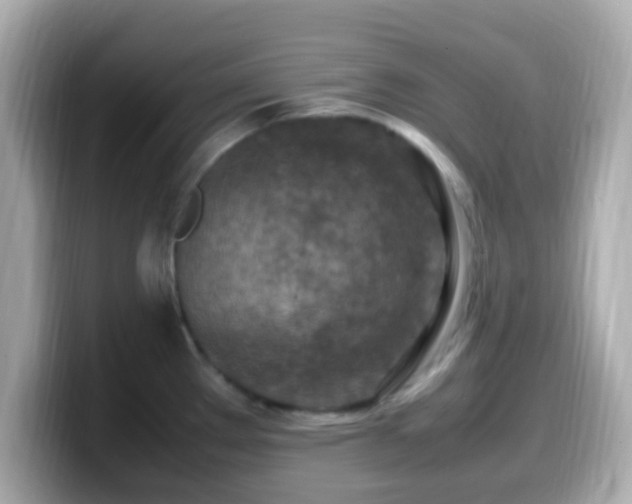 X0000099981289200805231417