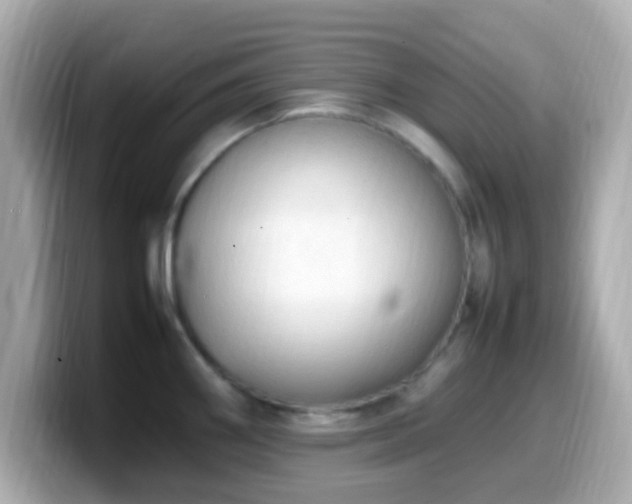 X0000099981290200805231417
