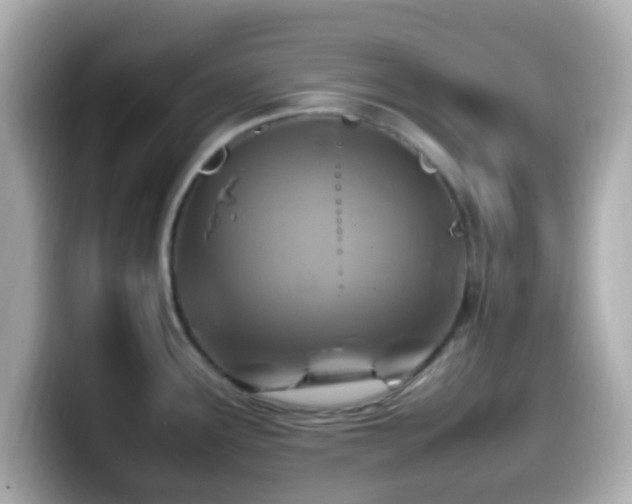 X0000099981291200805231417