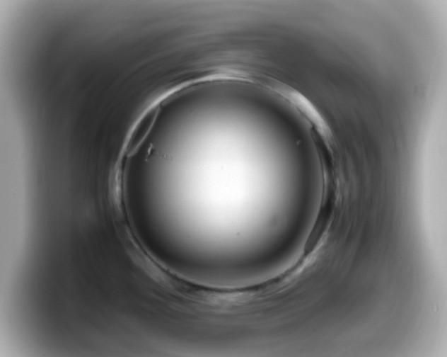 X0000099981292200805231417