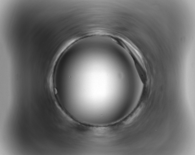 X0000099981293200805231417