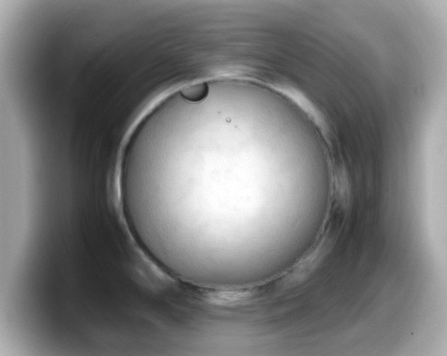 X0000099981294200805231417