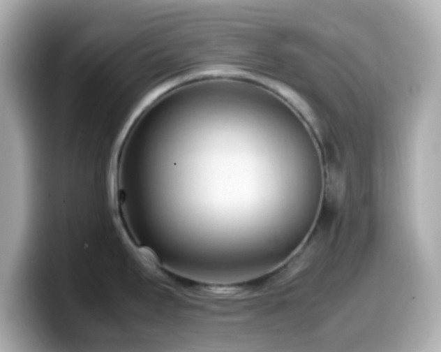 X0000099981295200805231417