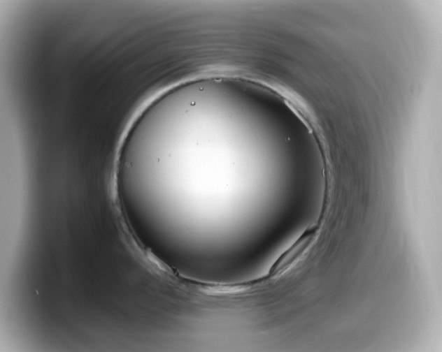 X0000099981296200805231417