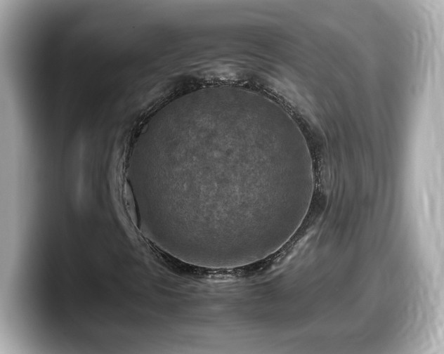 X0000099981297200805231417