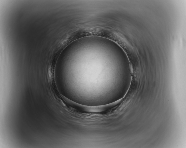 X0000099981298200805231417